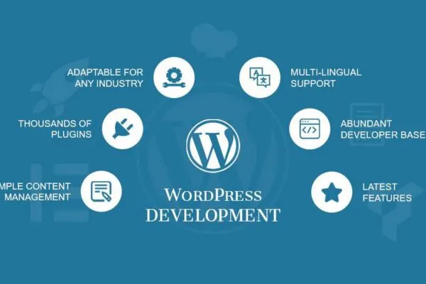 Wordpress Development