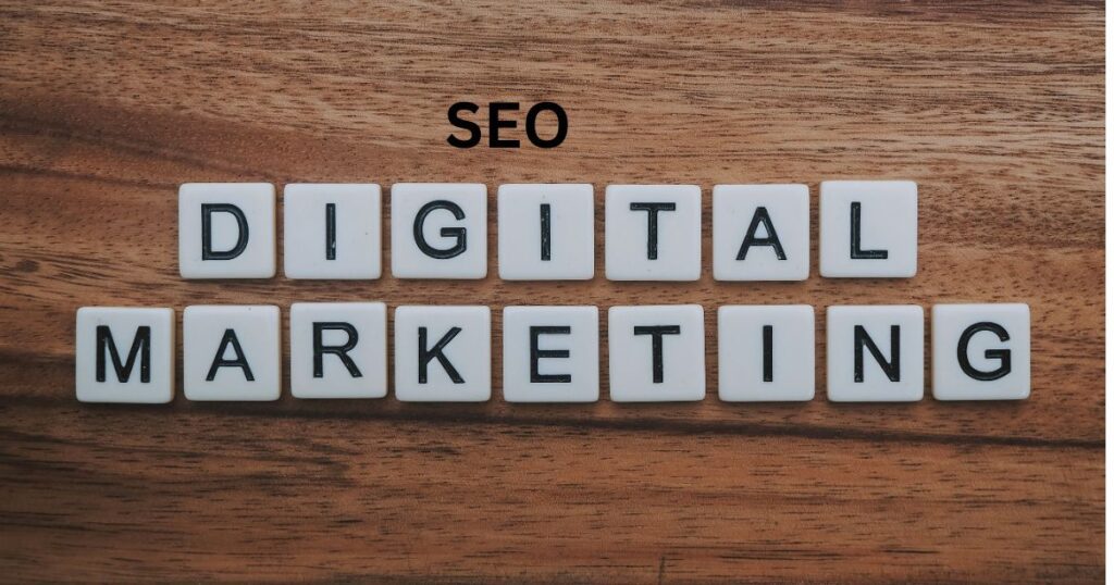 SEO Company in Punjab