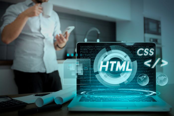 Web Development in jalandhar